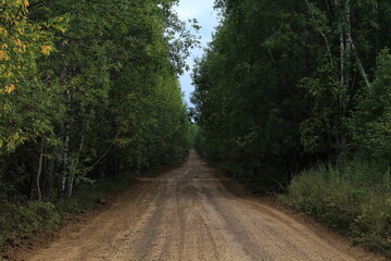 Obraz premium Dirt road in deciduous forest on a sunny summer day
