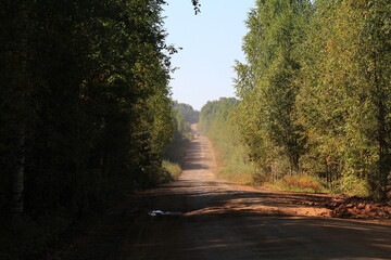 Obraz premium Dirt road in dense deciduous forest in late summer on a sunny day