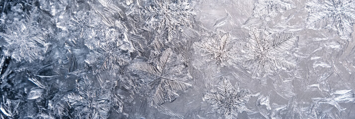 Obraz premium Detailed Frosted Snowflakes in Cold Winter Atmosphere