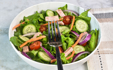 garden salad top with sliced spam, onions and tomatoes