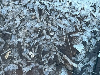 Snowflakes on a plank