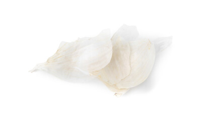 Onion peels isolated on white, top view