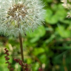 Macro photography is a form of close-up photography that magnifies small subjects or details, often making them appear larger than life. It is commonly used to capture intricate patterns, textures, an