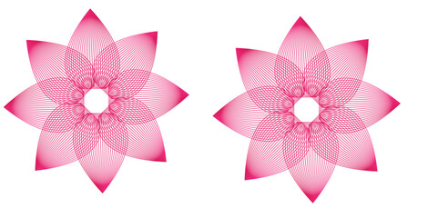 A top view of a lotus flower. Isolated white backgroun  A beautiful display of white flowers against a white background, 