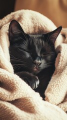 Kitten wrapped in a blanket. Selective focus.