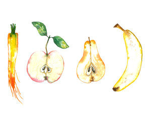 Set of watercolor fruits: pear, apple, carrot and banana. Hand drawn watercolor illustration isolated on white