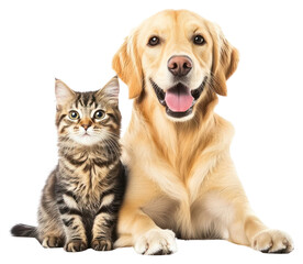 PNG Cute dog and cat animal kitten puppy.