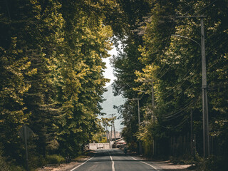 Camino natural