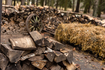Neat stack of chopped firewood in front of a pile of hay, located in backyard of a country house against a blurry forest background. Rural setting, peace and quiet of the county life