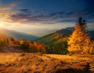 Fototapeta premium The Warmth of Fall: Sunset Over Autumn Trees