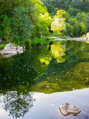 Sunny September view of waters of Vidima River at the pool called Priboy, near the village of Debnevo, Troyan Minucipality, Northern Bulgaria