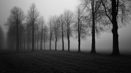 Obraz premium A foggy landscape with a row of barren trees, creating a moody and atmospheric scene.