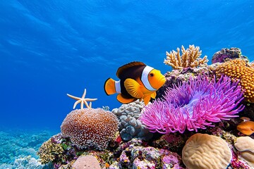 The concept of coral nurseries focuses on environmental conservation by cultivating diverse coral colonies on stable seabed structures.