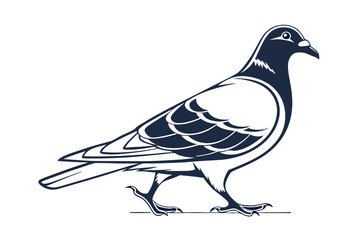 Pigeon Line Art Vector Illustration