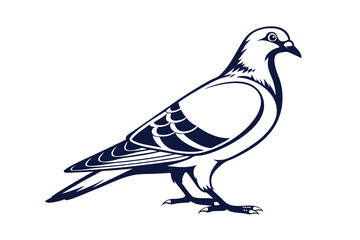 Pigeon Line Art Vector Illustration