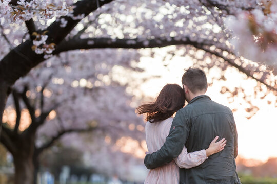 Pareja de enamorados abrazos en un atardecer junto a los almendros en flor. Generado con IA