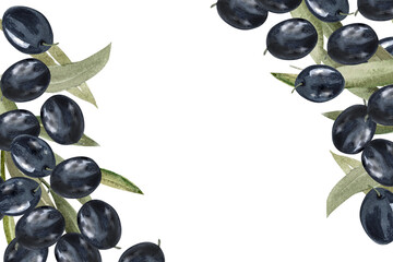 Olive branch with black olive berries watercolor illustration.Watercolor frame of olive branches. Hand drawn botanical illustration for design