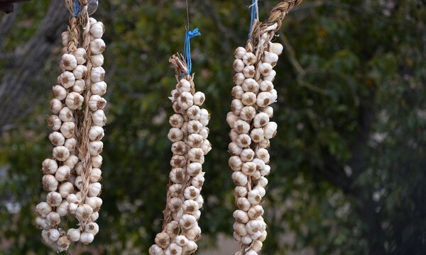 garlic hanging like a chain