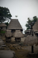 Traditional thatched-roof huts in a rural village setting.