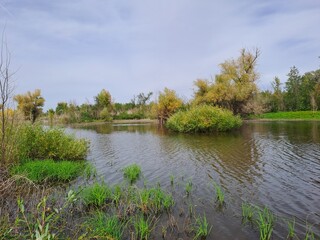 Obraz premium landscape with river and sky