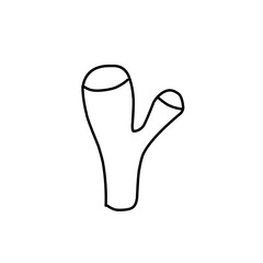 coral outline illustration