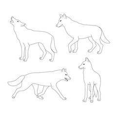 Set of black outline wolves. Isolated black line wolves on white background. Page of coloring book.