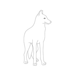 Isolated black outline cartoon standing wolf on white background. Front view line wolf. Curve lines. Page of coloring book