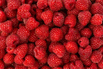 Tasty fresh raspberry as a background.