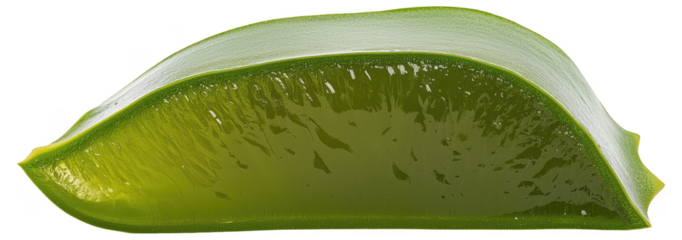 PNG Aloe vera leaf slice showing gel and rind