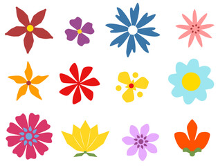 A set of summer, colored flowers on a white background