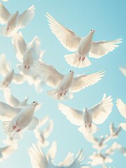 Obraz premium Flock of white doves soaring in a clear blue sky capturing freedom and peace