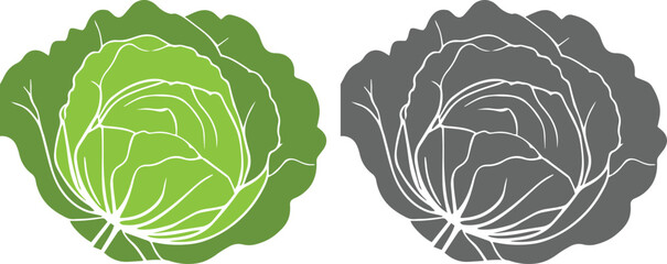 Cabbage vegetable abstract colorful silhouette on white background vector illustration.