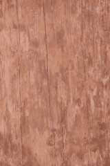 Tree bark texture brown color. Tree bark texture full frame in nature. Monochrome background. Trendy colour 2025.