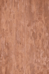 Tree bark texture brown color. Tree bark texture full frame in nature. Monochrome background. Trendy colour 2025.