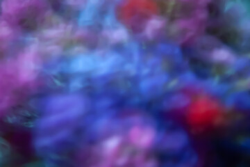 Colorful abstraction. Blurred color texture. Blurred bouquet