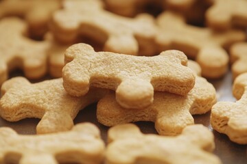 Fototapeta premium A collection of dog treats sitting on a flat surface, perfect for snack time or decoration