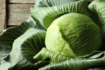 Obraz premium One ripe head of cabbage on wooden background, closeup