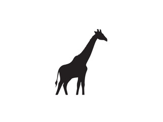 Giraffe silhouette isolated on white. Vector illustration. Giraffe Silhouette. Animal silhouette. 