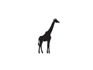 Giraffe silhouette isolated on white. Vector illustration. Giraffe Silhouette. Animal silhouette. 
