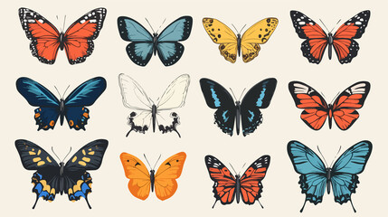 Professional Butterfly Vector Set Illustration in Flat Style