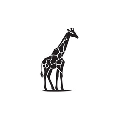 Giraffe silhouette isolated on white. Vector illustration. Giraffe Silhouette. Animal silhouette. 