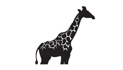 Giraffe silhouette isolated on white. Vector illustration. Giraffe Silhouette. Animal silhouette. 