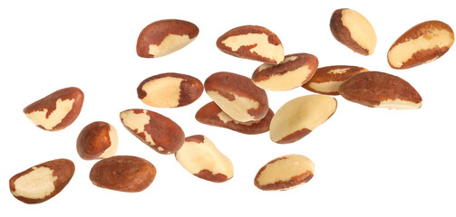 Many Brazil nuts in air on white background