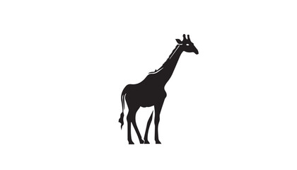 Giraffe silhouette isolated on white. Vector illustration. Giraffe Silhouette. Animal silhouette. 