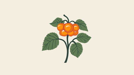 Vibrant Cloudberry Fruit Vector Illustration on White Background