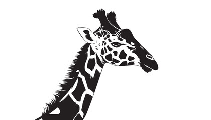 Giraffe silhouette isolated on white. Vector illustration. Giraffe Silhouette. Animal silhouette. 