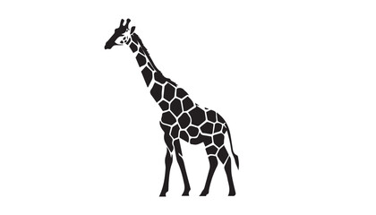 Fototapeta premium Giraffe silhouette isolated on white. Vector illustration. Giraffe Silhouette. Animal silhouette. 
