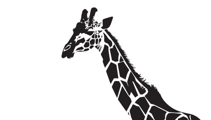 Giraffe silhouette isolated on white. Vector illustration. Giraffe Silhouette. Animal silhouette. 