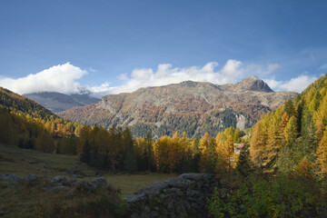 An autumn view of Val da Camp near Lago da Saoseo, Graubünden (Bernina Mountains), with golden larches and a vivid blue sky.