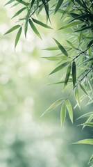 Naklejka premium Lush green bamboo leaves framing a serene natural background in soft light